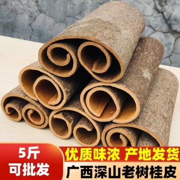 桂皮/广西桂皮/自家种植/批发,一件代发/供应市场电商