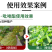 苯甲吡唑酯蔬菜黄瓜白粉病叶斑病褐斑病果树葡萄炭疽病黑斑病