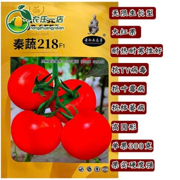 秦蔬218西红柿种子大红果番茄种子抗病强耐寒耐热性好硬果