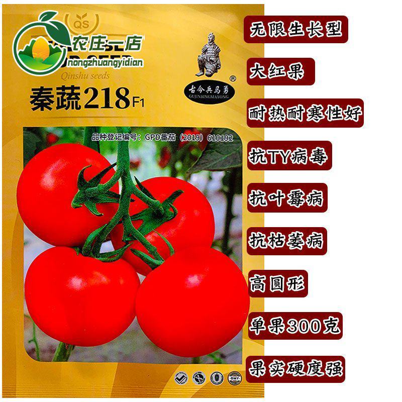秦蔬218西红柿种子大红果番茄种子抗病强耐寒耐热性好硬果