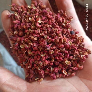 河北大红袍花椒太行山高山花椒，品质保证产地直发量大