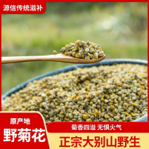 野菊花正宗大别山野生各种规格颗粒状无硫净货