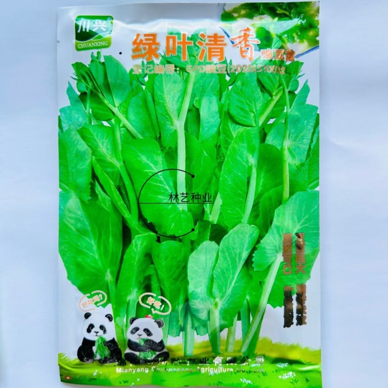 甜豌豆种子水果型可生吃菜豌白豌豆可芽苗菜豌豆尖四季可播