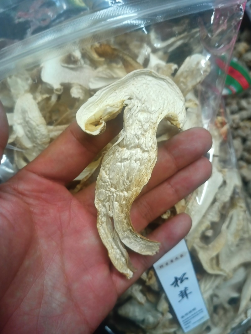 产地直销量大从优