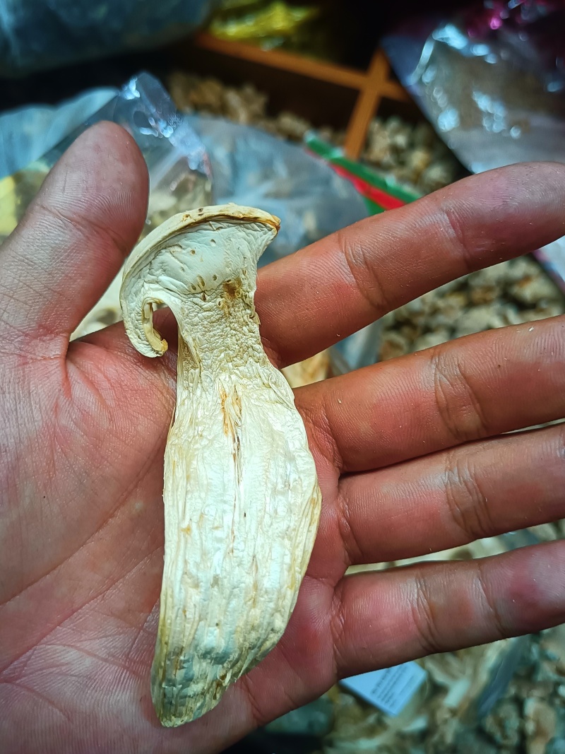 产地直销量大从优