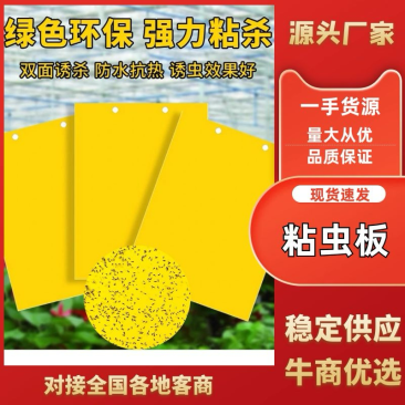 双面特粘黄板蔬菜大棚果园专用效果好诚信经营