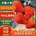 丹东玖玖草莓，北纬41度°个大味甜果红。