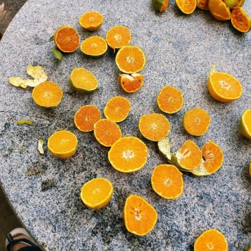 蜜橘柑桔特早蜜橘产地直发皮薄多汁品质保障量大优惠