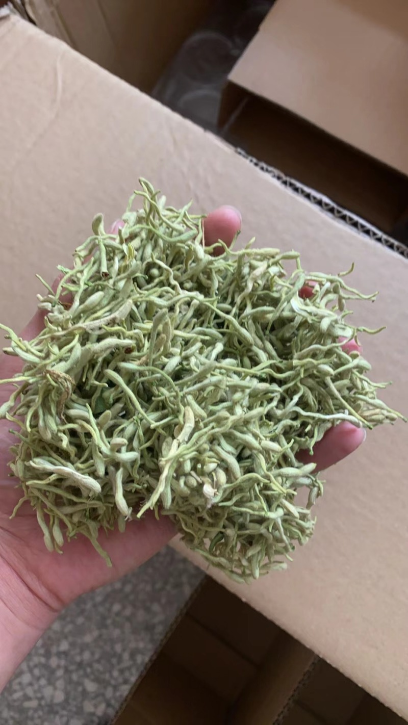 封丘金银花产地直采欢迎来电沟通品种齐全电商代发