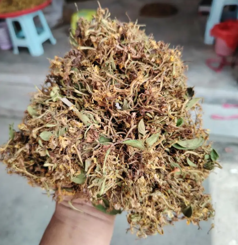 封丘金银花产地直采欢迎来电沟通品种齐全电商代发