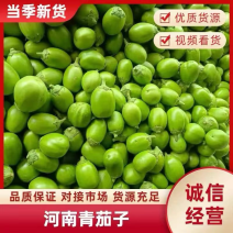 河南青茄个头大一手货源品质好可供商超市场批发