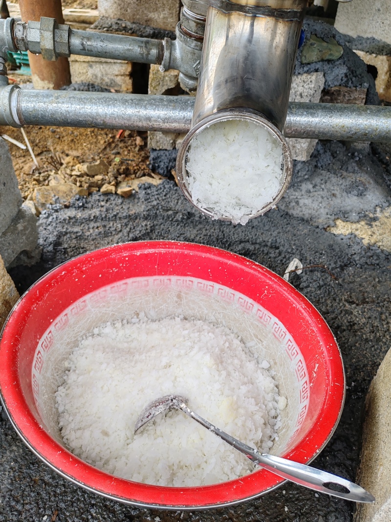 马耳艾纳香苗出粉率高好种植