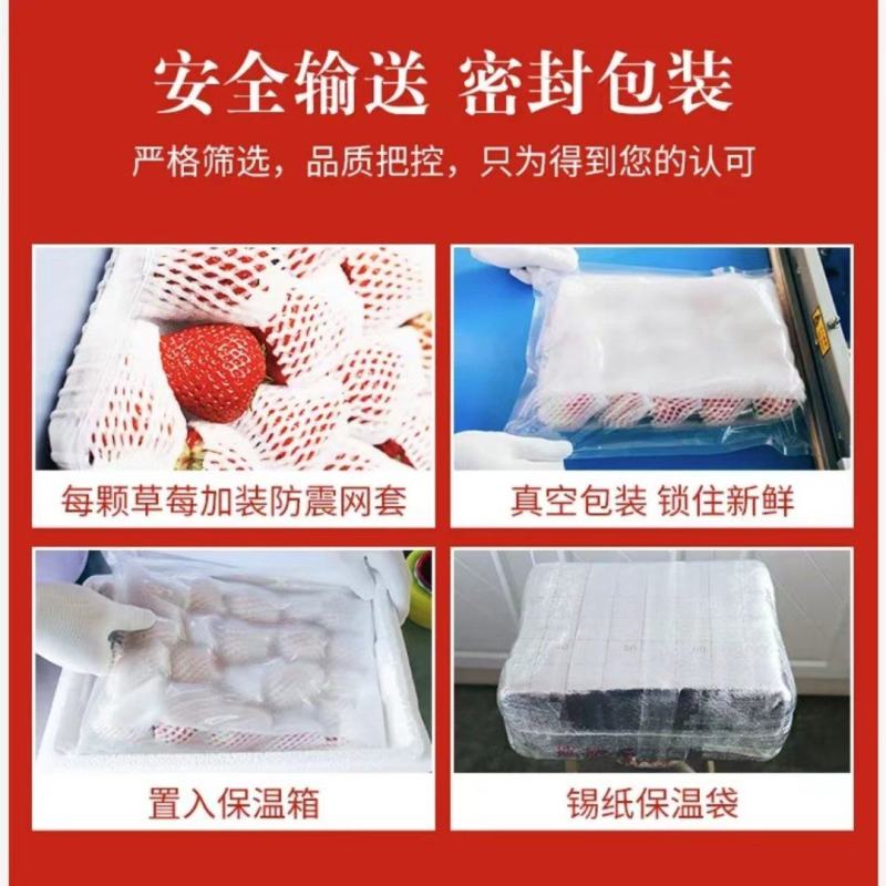 2024年秋冬季丹东红颜九九草莓上市一件代发！电商团队！