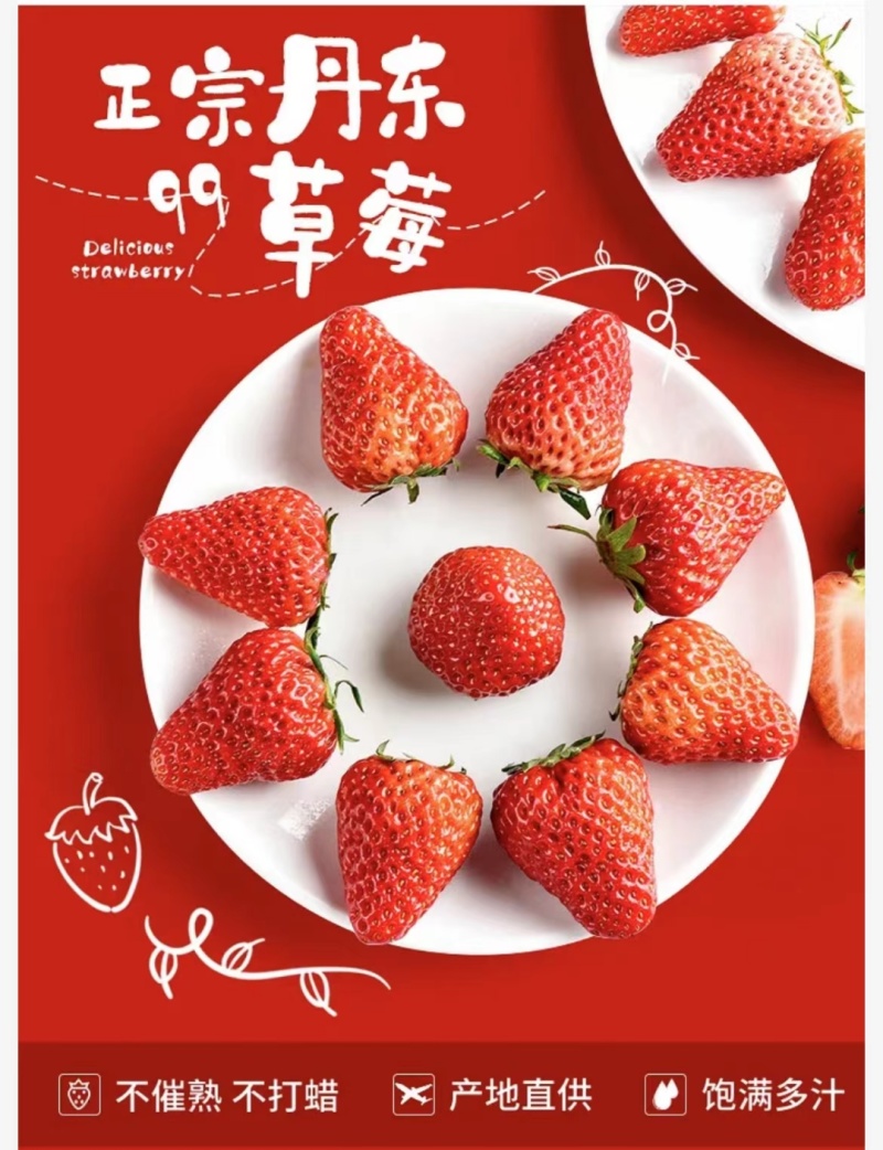2024年秋冬季丹东红颜九九草莓上市一件代发！电商团队！