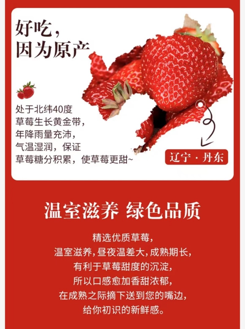 2024年秋冬季丹东红颜九九草莓上市一件代发！电商团队！