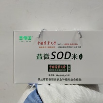 高端的食材来源于朴素的生活，北纬43.5℃，黄金水稻种植带。