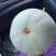 礼品小糖丸，2k，星甜，博洋，羊角蜜，甜瓜品类齐全上市中