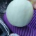 礼品小糖丸，2k，星甜，博洋，羊角蜜，甜瓜品类齐全上市中