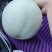 礼品小糖丸，2k，星甜，博洋，羊角蜜，甜瓜品类齐全上市中