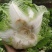 精品黄心大白菜***********