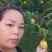 宫村雪花梨鸭梨准备开园了[强]，欢迎新老顾客光临采购