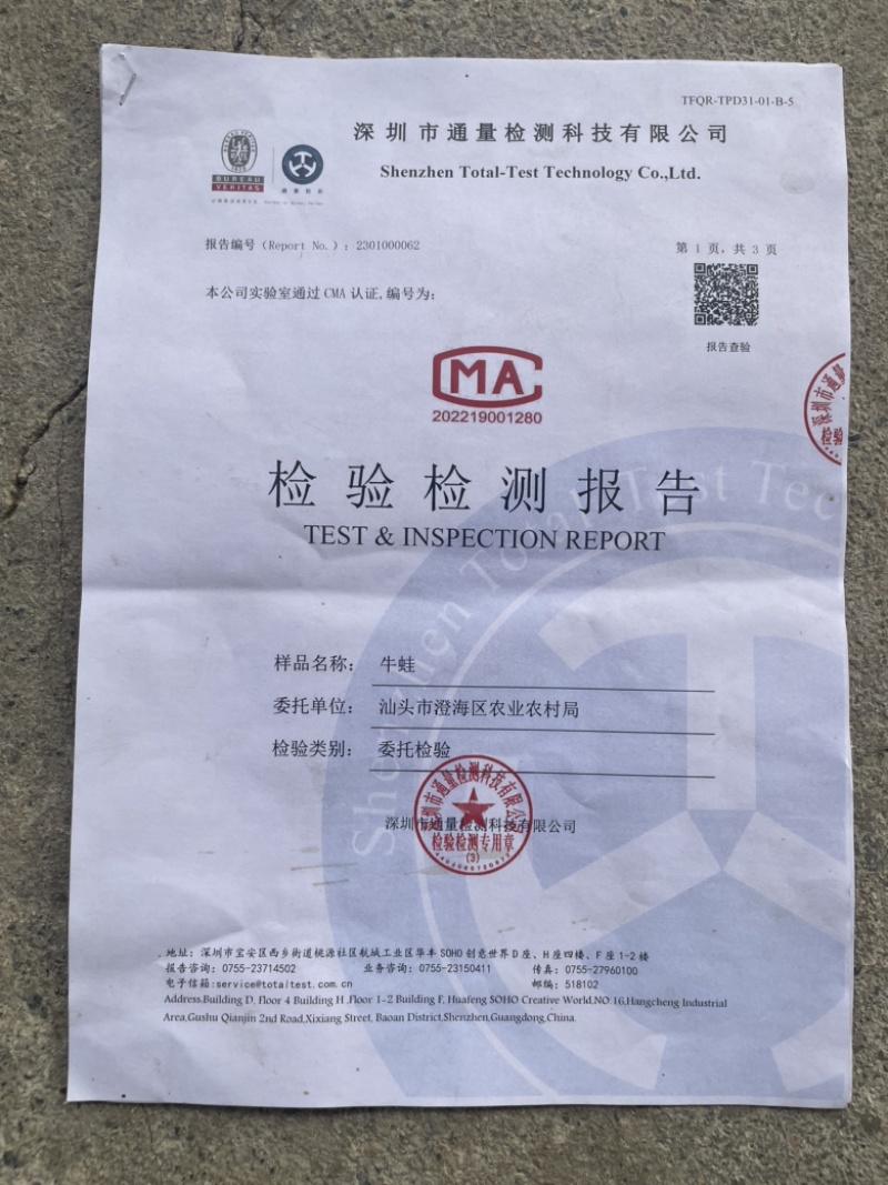 牛蛙苗种苗水花苗牙签苗小四脚量大小均可发