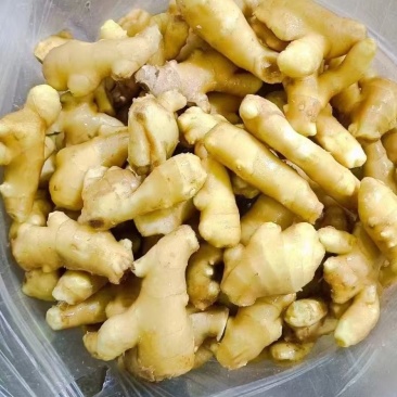 精品黄姜姜巴一手货源品质保证电商药厂食堂专用