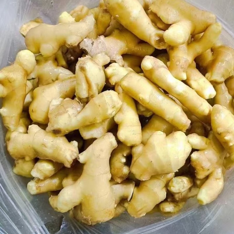精品黄姜姜巴一手货源品质保证电商药厂食堂专用
