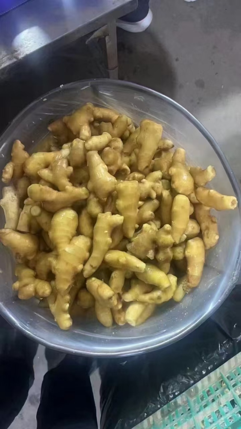 精品黄姜姜巴一手货源品质保证电商药厂食堂专用