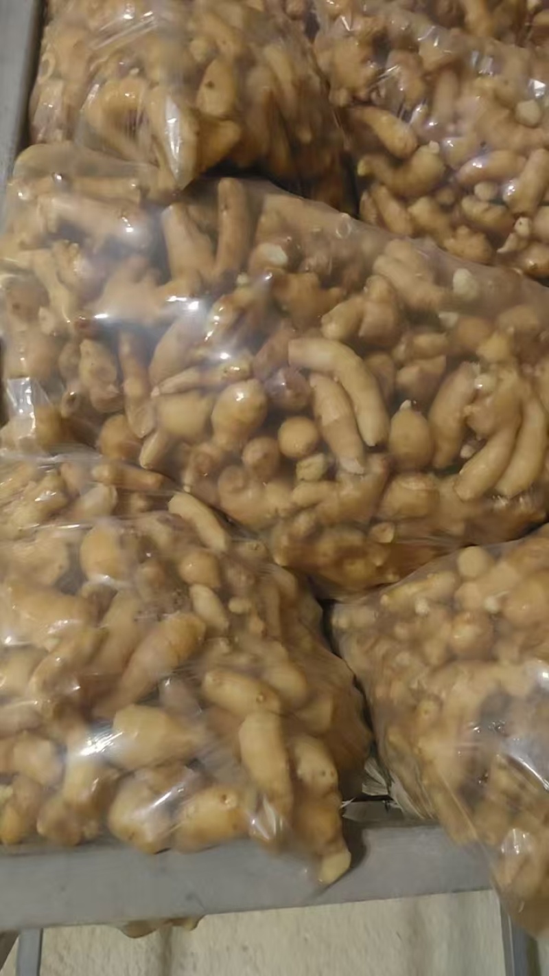 精品黄姜姜巴一手货源品质保证电商药厂食堂专用