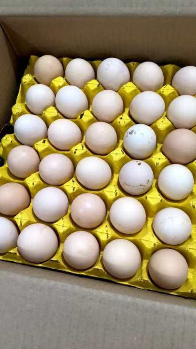 鸡蛋批发每日价钱不一样的