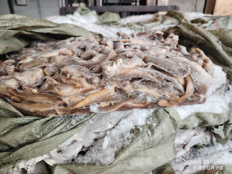 去头黄花鱼罐头鱼酥原料好品质清库处理