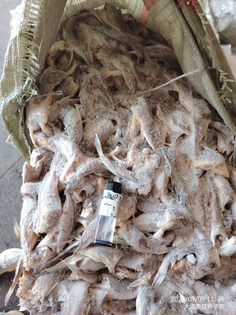去头黄花鱼罐头鱼酥原料好品质清库处理