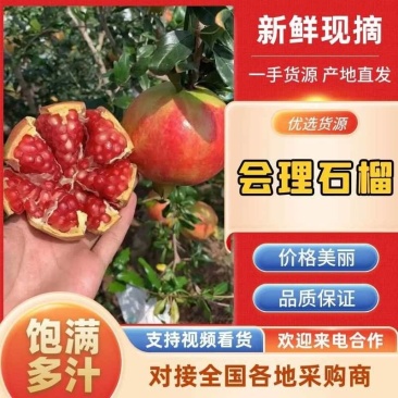 会理软籽石榴，大量供应电商货，市场果，越南货，诚信经营。