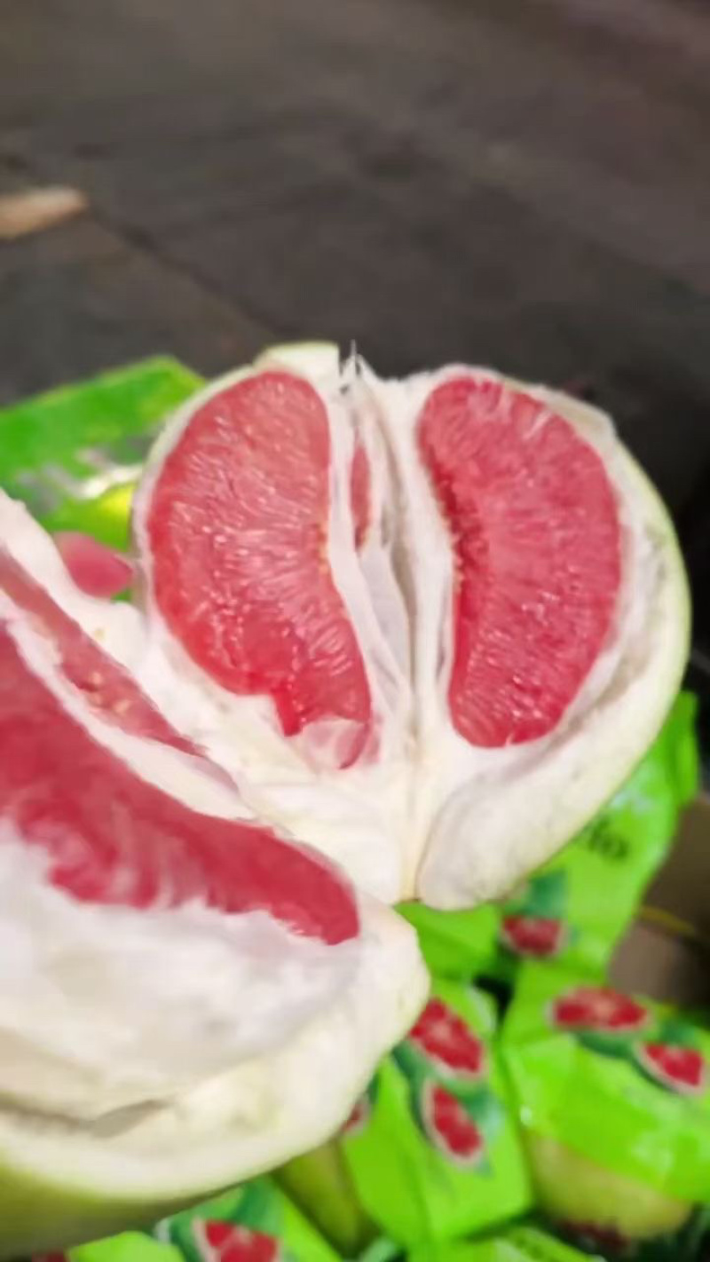 平和馆溪蜜柚大量现货中