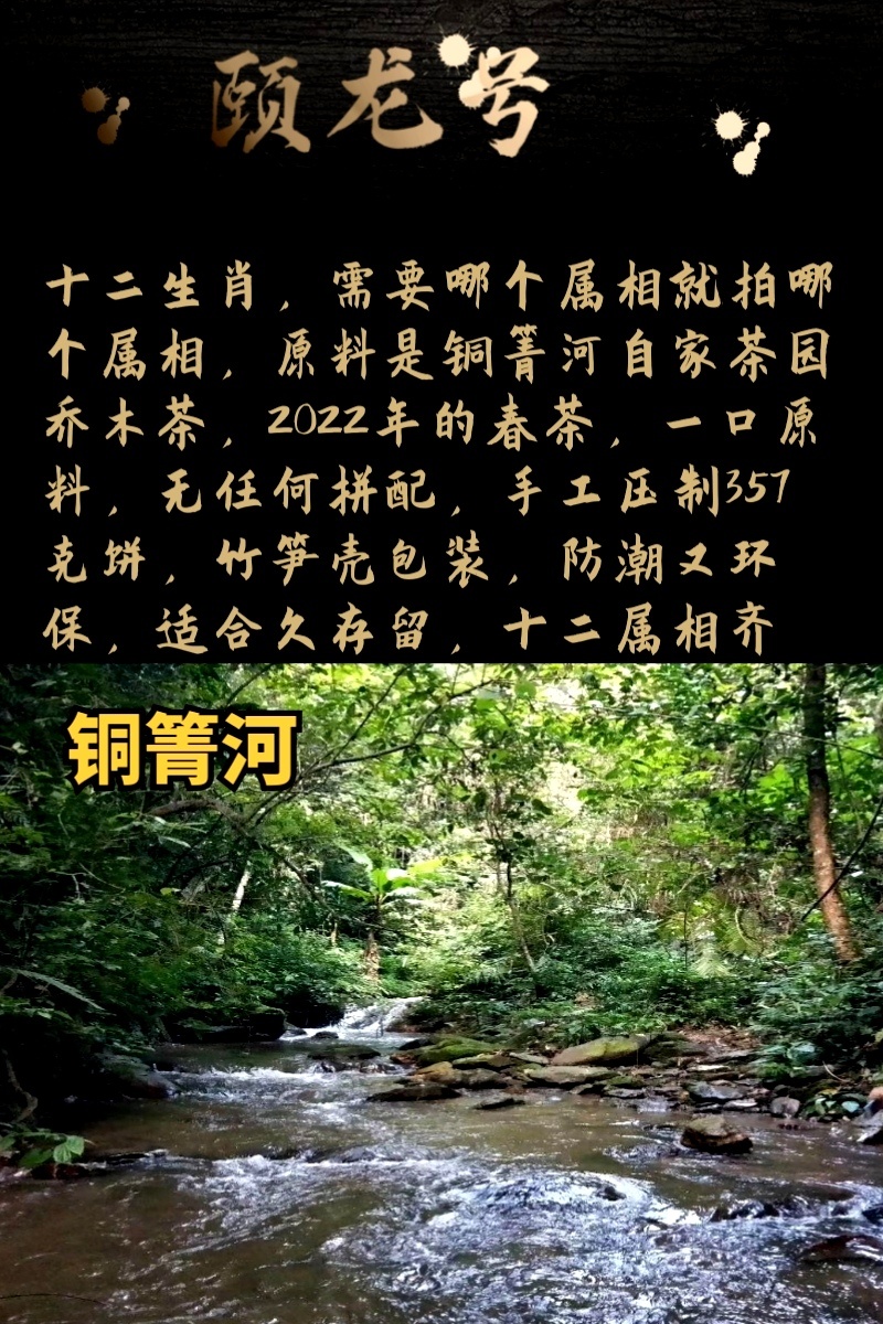十二生肖饼铜箐河生态茶原料压制357克饼