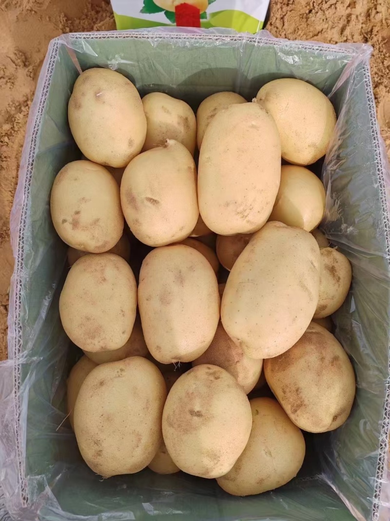 V7土豆大量上市，榆林土豆大量上市，各种规格定制