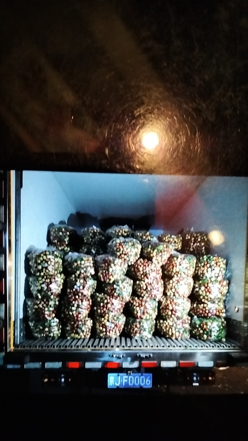 山东大枣，昌邑大陆梨枣，万亩种植基地，9月中旬大量上市。