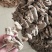 湖北大别山罗田深山晒干乌天麻串串麻天麻干货无硫
