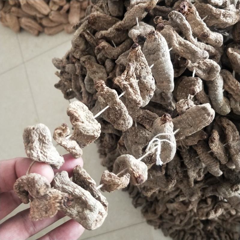 湖北大别山罗田深山晒干乌天麻串串麻天麻干货无硫