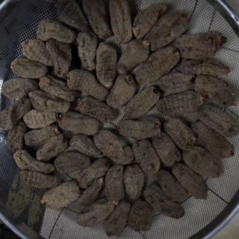 湖北大别山罗田深山晒干乌天麻串串麻天麻干货无硫