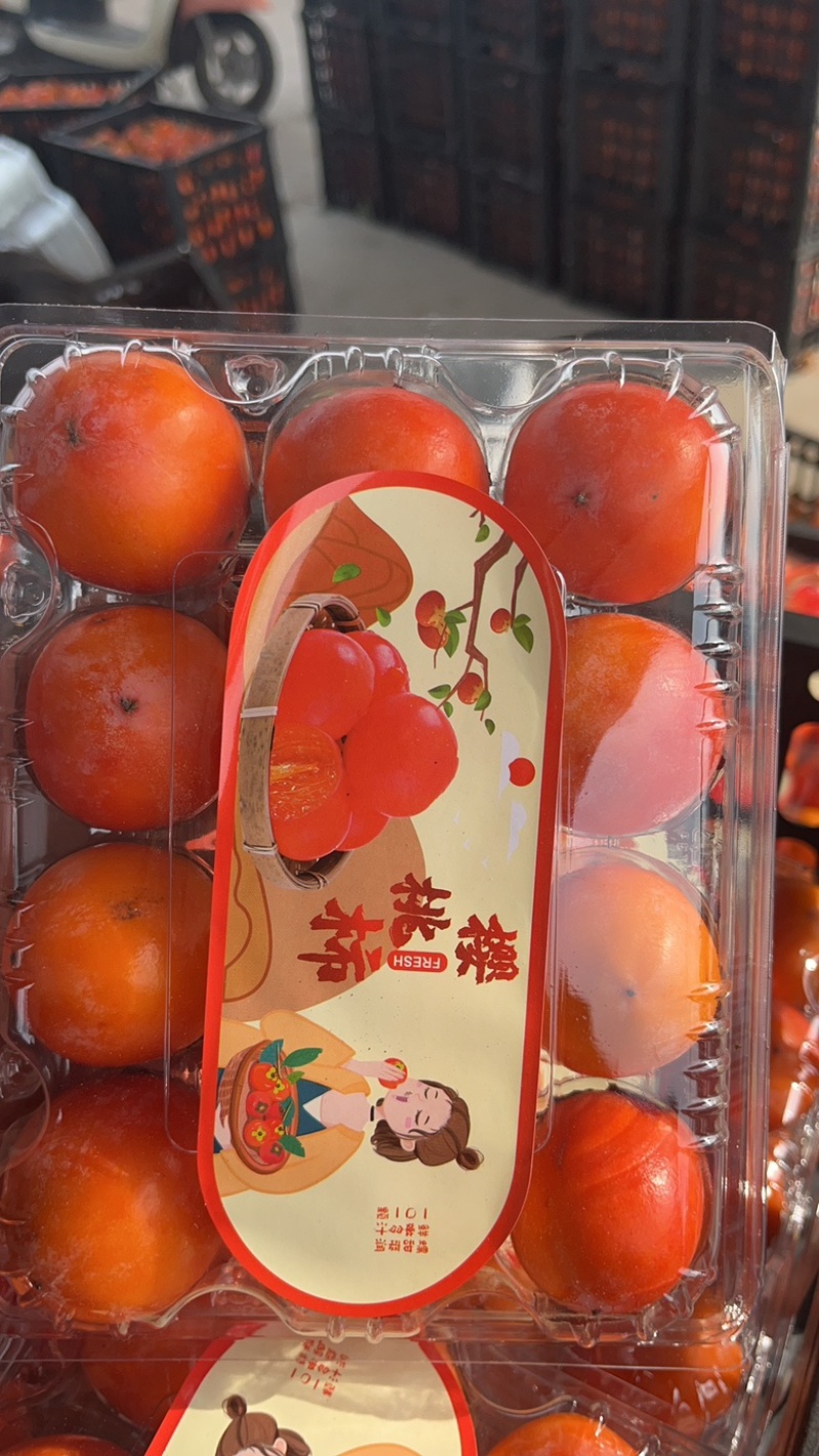 火晶柿子