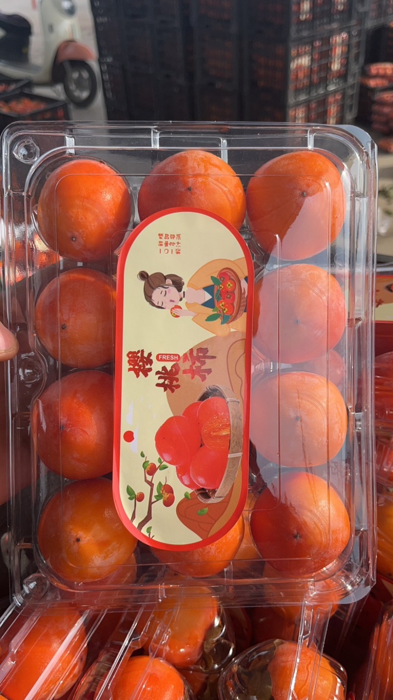 火晶柿子