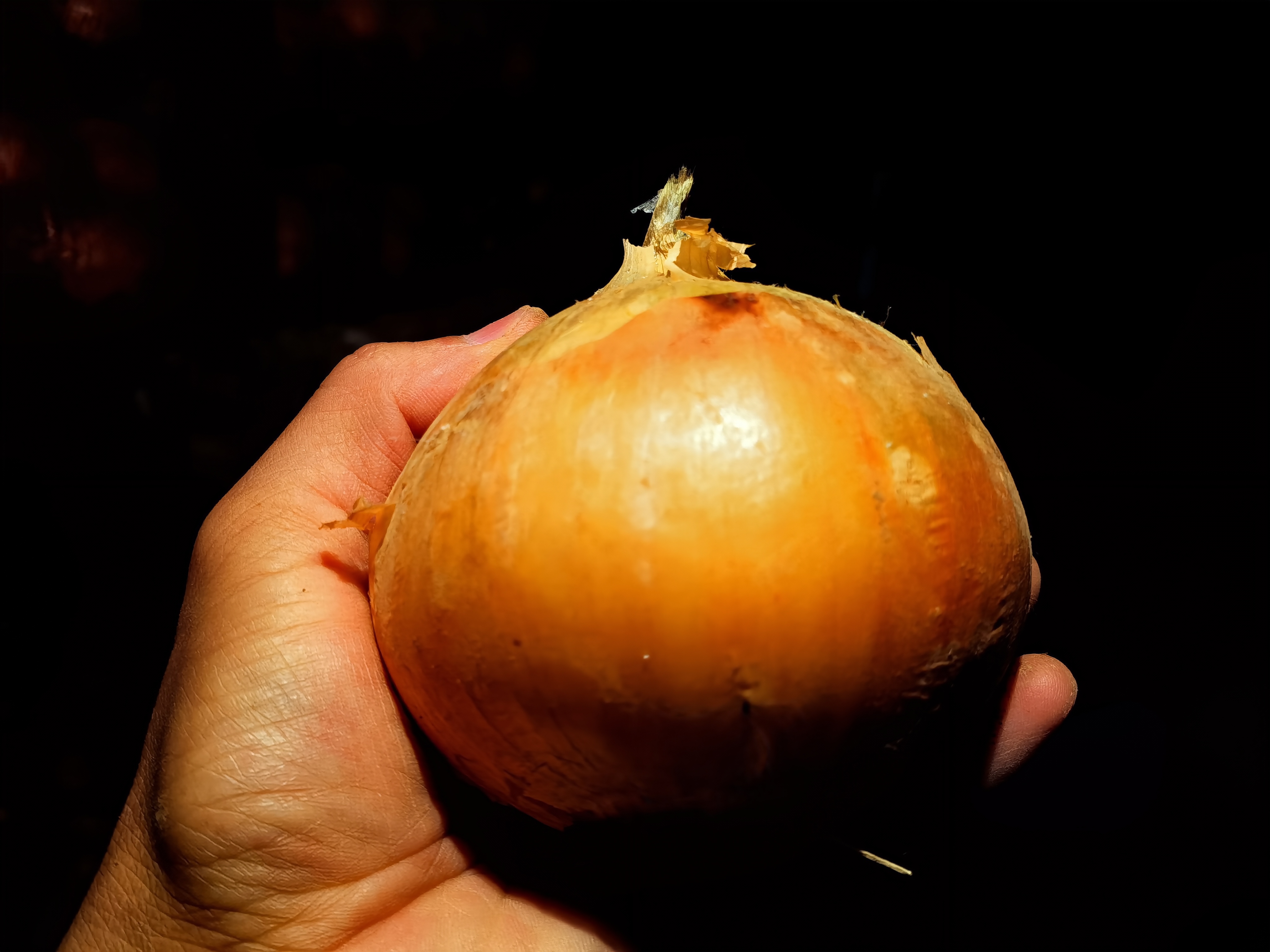 洋葱切开黄心特写