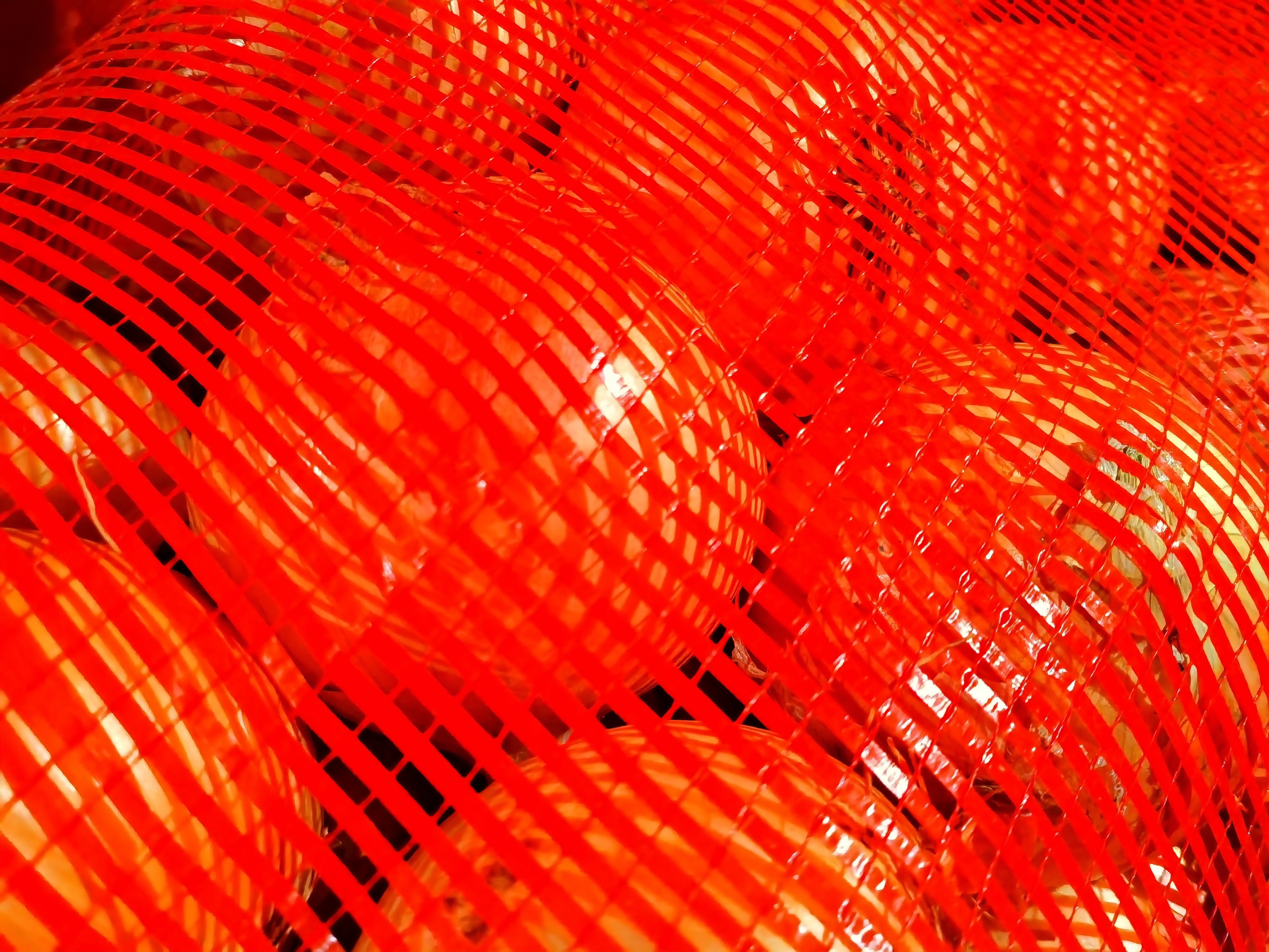 红皮、黄皮、白皮洋葱并列展示,便于对比颜色和外形差异 洋葱品种对比图