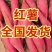 鲜货/西瓜红/烟薯25/大量上市供应/电商/商超/市场