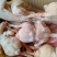 肉食鸡