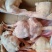 肉食鸡