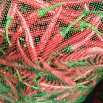 【精品】泰椒小米辣品类齐全价优一手货源欢迎致电合作