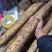 白玉山药大量供应产地直发品质保障，欢迎选购